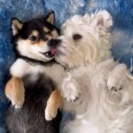 WhatsApp Image 2025-07-07 at 11.55.58 PM