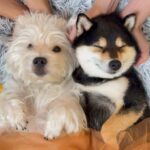 WhatsApp Image 2025-07-07 at 11.56.04 PM