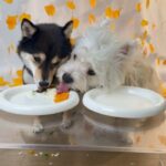 WhatsApp Image 2025-07-07 at 11.56.05 PM