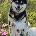 WhatsApp Image 2025-07-07 at 11.56.06 PM