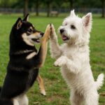 WhatsApp Image 2025-07-07 at 11.56.08 PM (1)